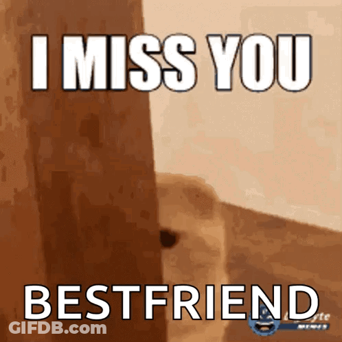 Dog Saying I Miss You Bestfriend GIF