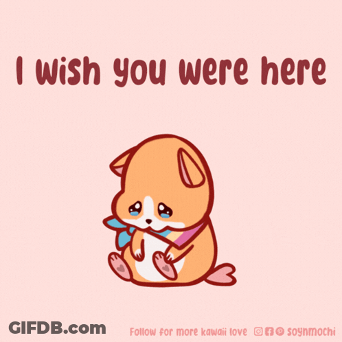 Dog Saying I Wish You Were Here GIF