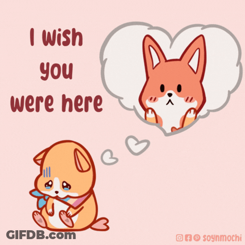 Dog Saying I Wish You Were Here GIF