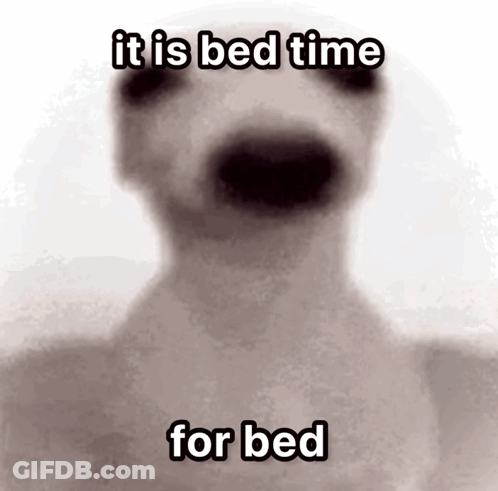 Dog Saying It Is Bed Time For Bed GIF