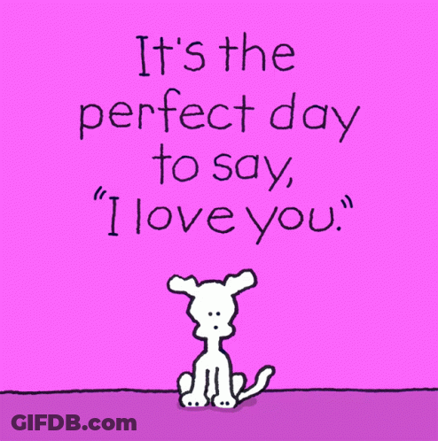 Dog Saying It's The Perfect Day To Love You GIF
