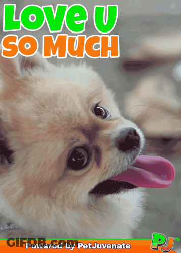 Dog Saying Love U So Much GIF
