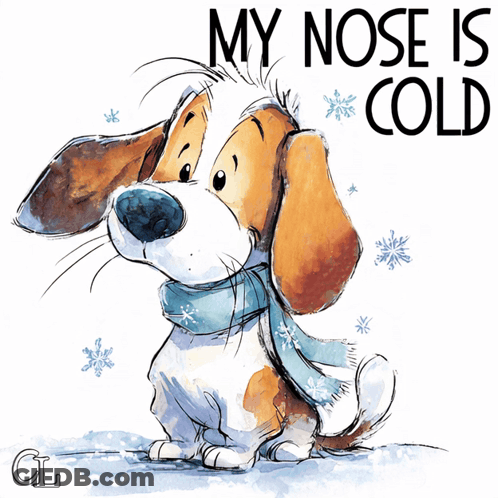 Dog Saying My Nose Is Cold GIF