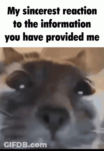 Dog Saying My Sincerest Reaction To The Information You Have Provided Me GIF