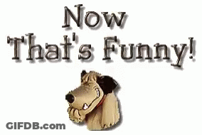 Dog Saying Now That's Funny GIF