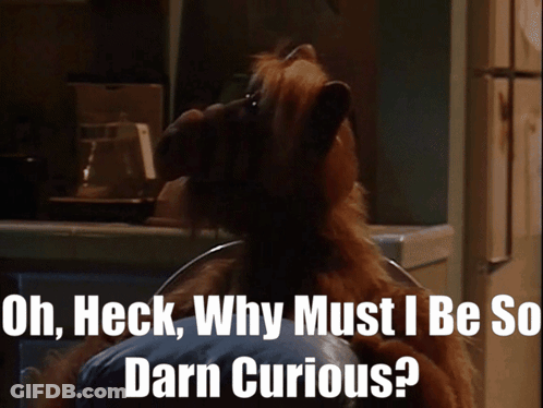 Dog Saying Oh Heck Why Must I Be So Darn Curious GIF