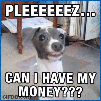 Dog Saying Pleeeeez Can I Have My Money GIF