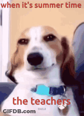 Dog Saying Summer Time Teachers GIF