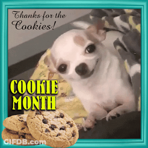 Dog Saying Thanks For The Cookies GIF