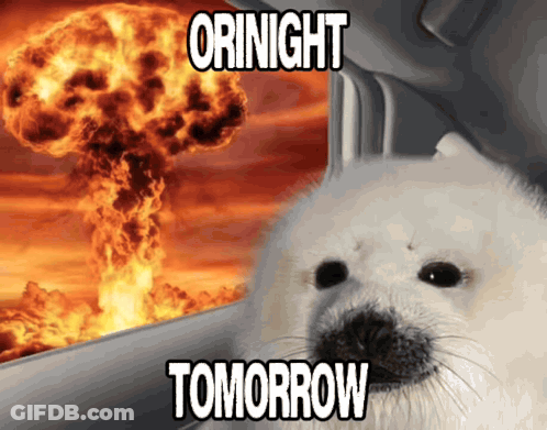Dog Saying Tomorrow GIF