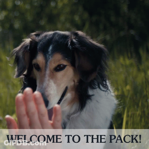 Dog Saying Welcome To The Pack GIF