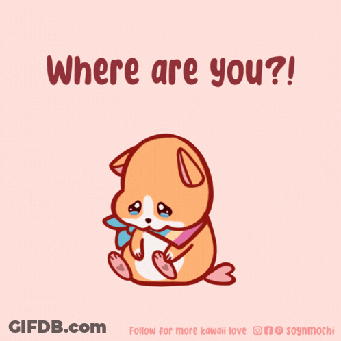 Dog Saying Where Are You GIF