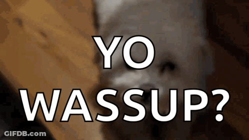 Dog Saying Yo Wassup GIF