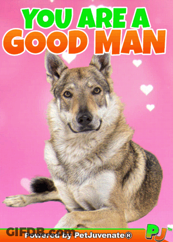 Dog Saying You Are A Good Man GIF