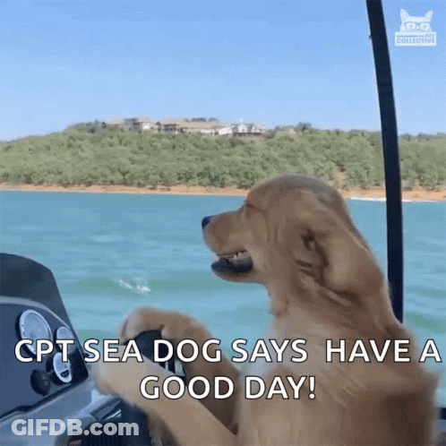Dog Says Ept Sea Dog Have Good Day GIF
