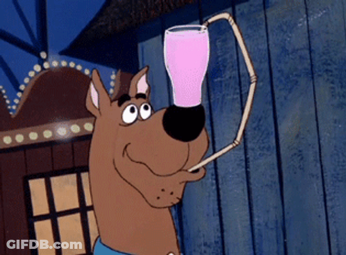 Dog Scooby Drinking GIF