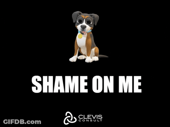 Dog Shame On Me GIF