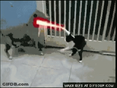 Dog Shooting Laser At Cat GIF