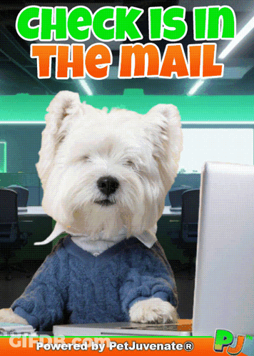 Dog Sitting At Desk Saying Check Is In The Mail GIF