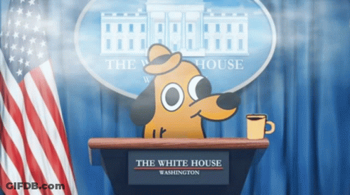 Dog Sitting At Podium In Front Of White House Sign GIF