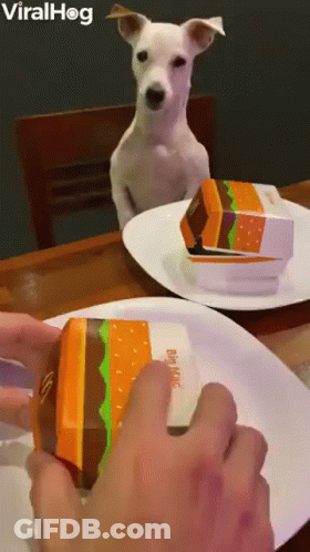 Dog Sitting At Table Looking At Hamburger Box GIF