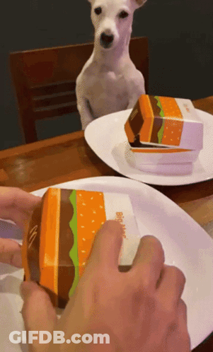 Dog Sitting At Table Looking At McDonald's Hamburger GIF