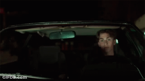 Dog Sitting In Back Seat Of Car GIF