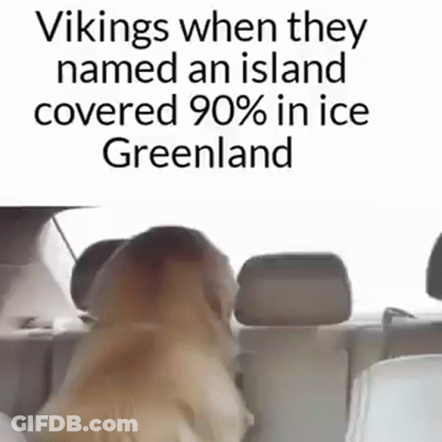 Dog Sitting In Back Seat Of Car With Funny Caption GIF