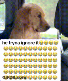 Dog Sitting In Back Seat Saying He Tryna Ignore It GIF