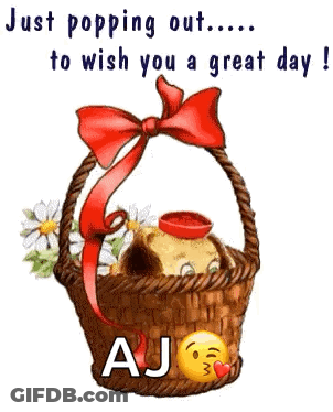 Dog Sitting In Basket With Flowers And Bow GIF