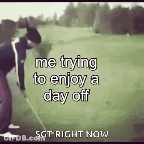 Dog Sitting In Basket With Flowers And Bow GIF
