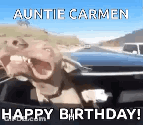 Dog Sitting In Car Making Funny Face GIF