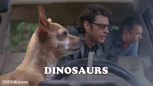 Dog Sitting In Driver's Seat Inherit The Earth GIF