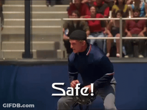 Dog Sitting In Front Of Computer You Got This GIF