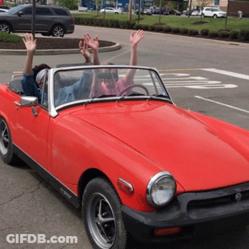 Dog Sitting In Tesla GIF