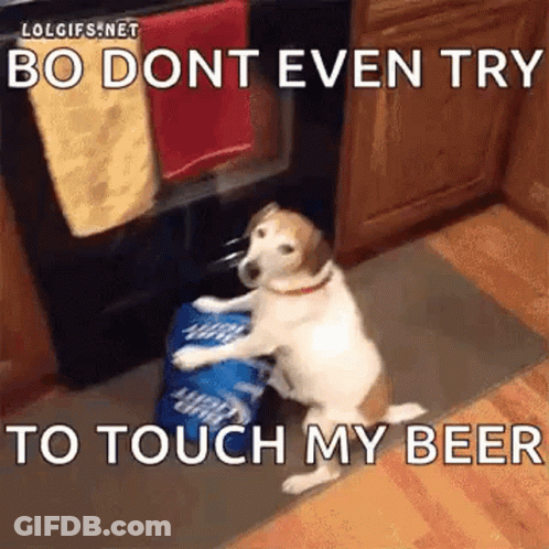 Dog Sitting Next To Stove Holding Beer Can GIF
