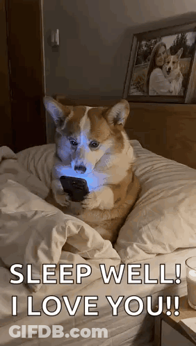 Dog Sitting On Bed Holding Cell Phone GIF