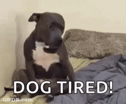 Dog Sitting On Bed Saying Dog Tired GIF