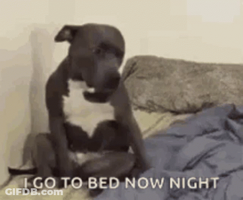 Dog Sitting On Bed Saying Night GIF
