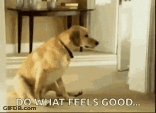 Dog Sitting On Floor Do What Feels Good GIF