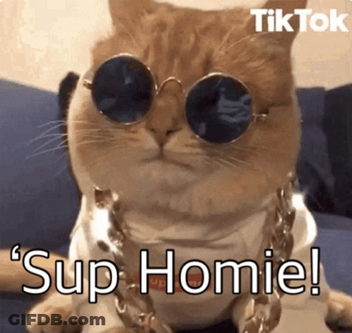 Dog Sitting On Porch With Welcome Mat GIF