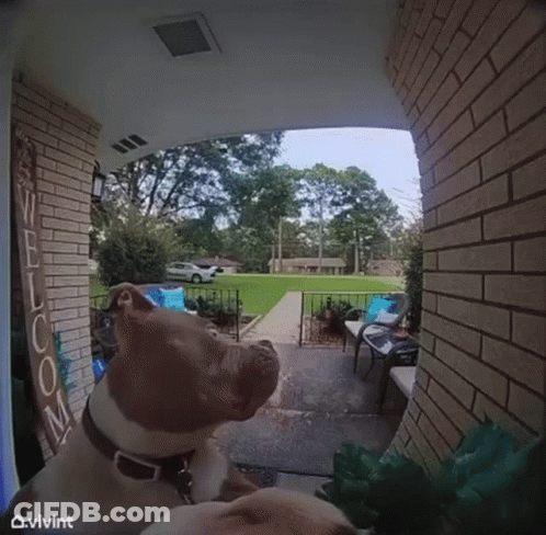 Dog Sitting On Porch With Welcome Sign GIF