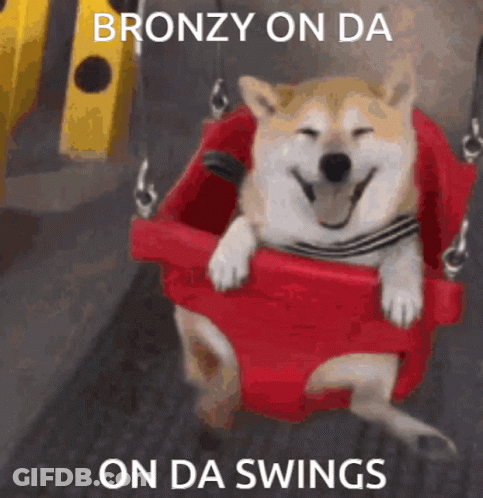 Dog Sitting On Red Swing Bronzy On Da Swings GIF