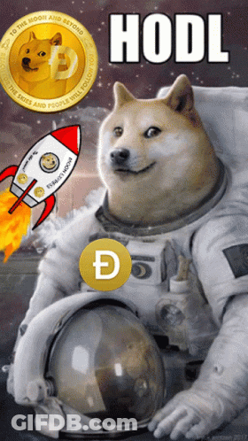Dog Sitting On Rocket With Earth Sticker GIF