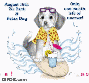 Dog Sitting On Surfboard August 15Th Sit Back And Relax Day GIF