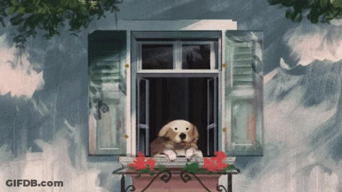 Dog Sitting On Window Sill With Flowers GIF