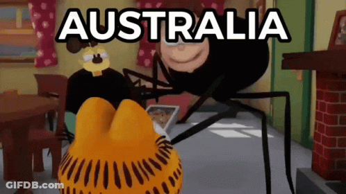 Dog Sitting On Wooden Floor With Mop And Number 3 GIF