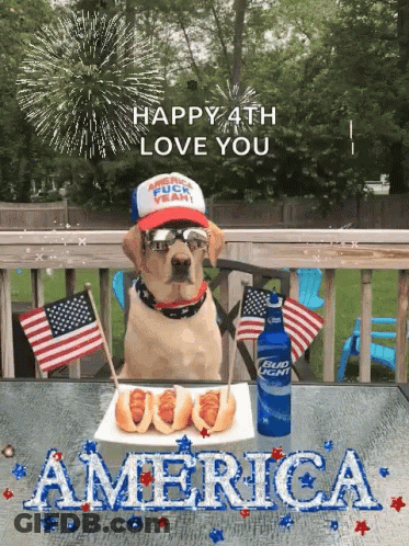 Dog Sitting With Hot Dogs And Bud Light GIF