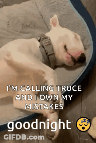 Dog Sleeping In Bed With Goodnight Message GIF