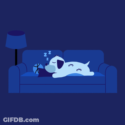Dog Sleeping On Blue Couch Saying Good Night GIF